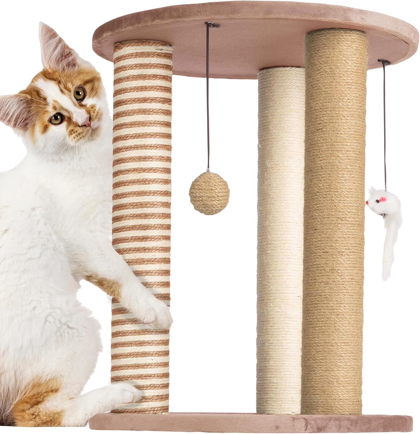 Cat Scratching Post
